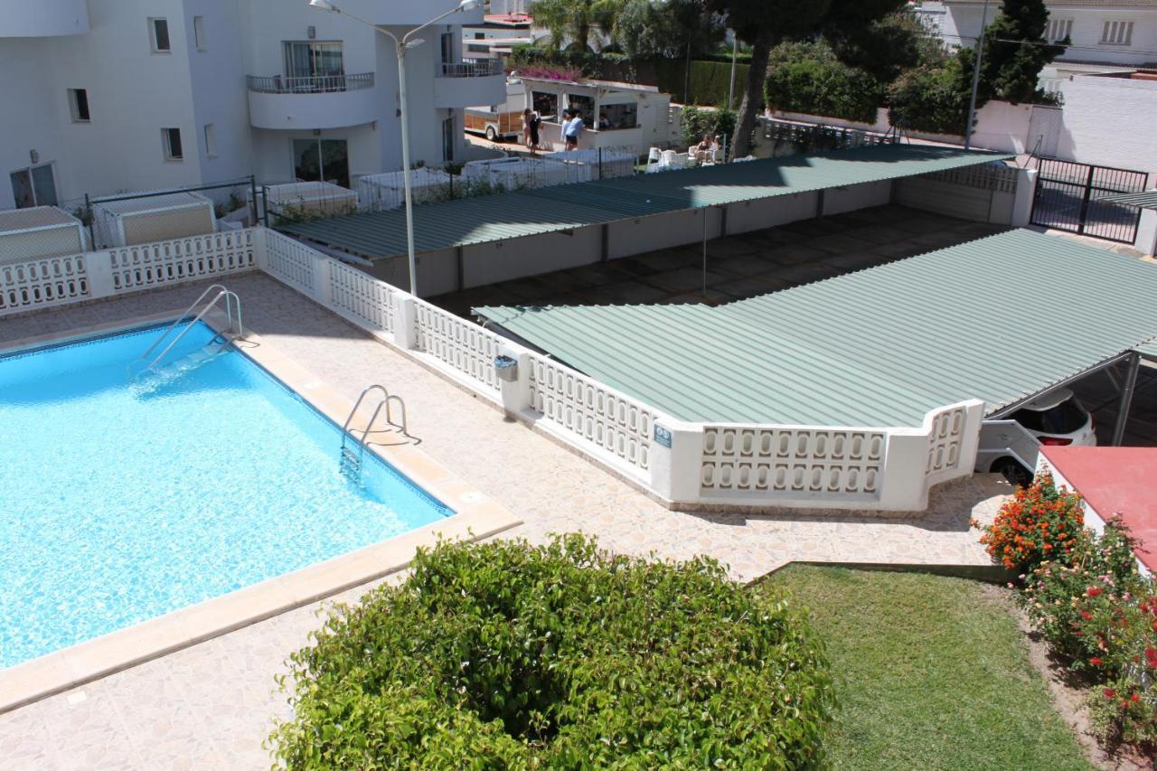Flamingo Solo Familias Serviplaya Playa de Gandia Eksteriør billede