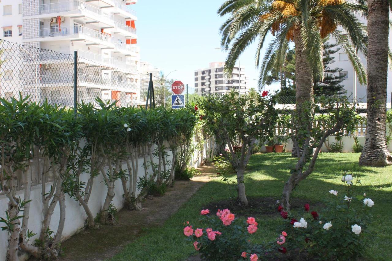 Flamingo Solo Familias Serviplaya Playa de Gandia Eksteriør billede